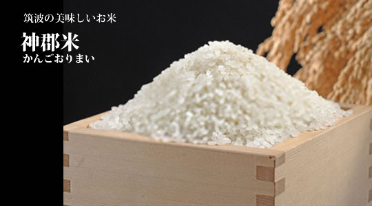 令和3年産新米コシヒカリです。茨城の特選米、筑波の幻のお米、神郡米です。